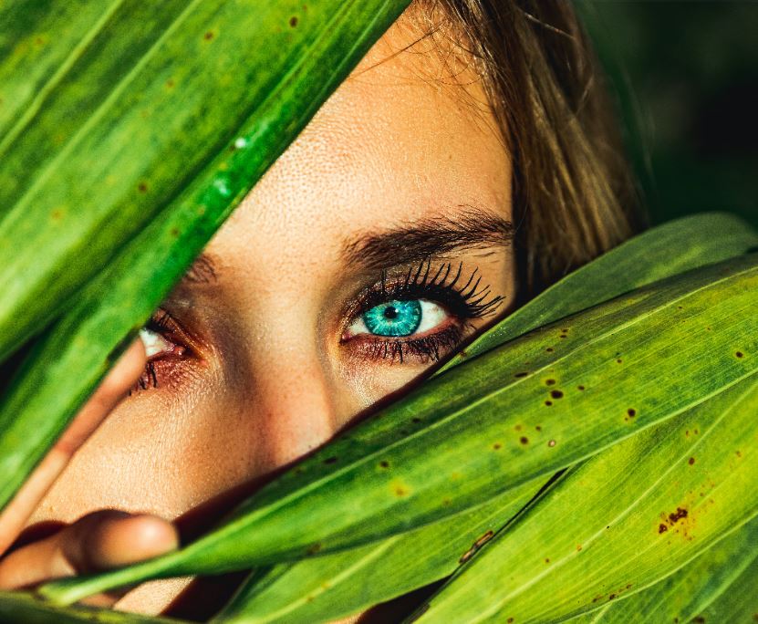 Mirada entre hojas verdes, una metáfora de observación y escucha